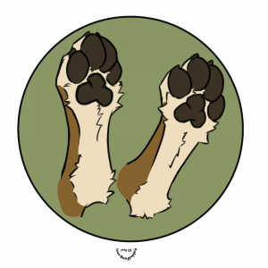 4" Vinyl Sticker Pack